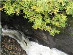 Salmon Jumping (Buchanty Spout)